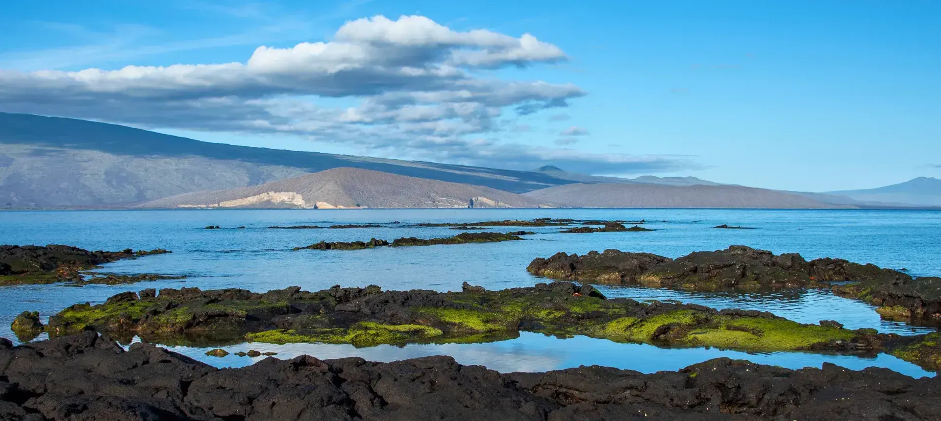 Punta Espinosa: Pristine Lava Landscapes & Marine Life